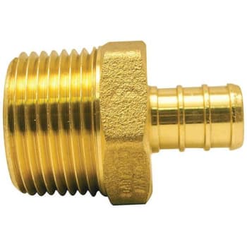 Image for Apollo 1/2 in. Brass PEX-B Barb x 3/4 in. Male Pipe Thread Reducing Adapter from HD Supply
