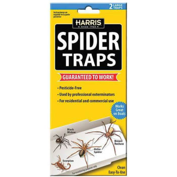 Image for Harris Spider Trap Value Pack from HD Supply