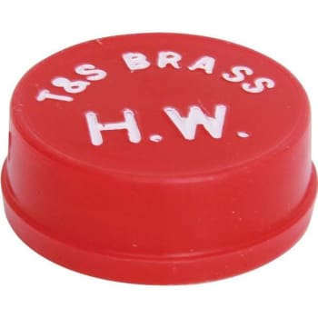 Image for T&S Red Snap Index Button (For T & S Brand Faucets) from HD Supply