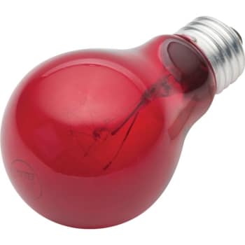 Image for A Bulb 25W A19 Red from HD Supply