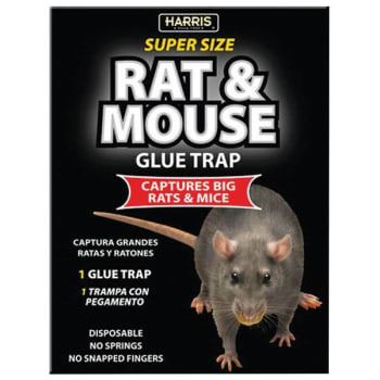 Harris Rat And Mouse Glue Trap Super-Size W/ Lure