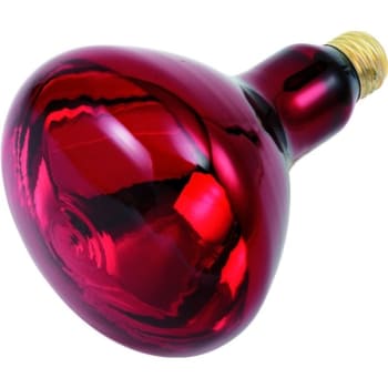 Image for Philips® Reflector Bulb 250W Heat Red from HD Supply