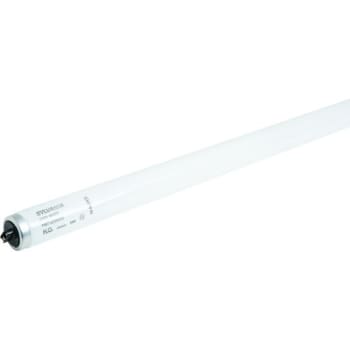 Image for Sylvania® 60W T12 Fluorescent Linear Bulb (4200K) (30-Pack) from HD Supply