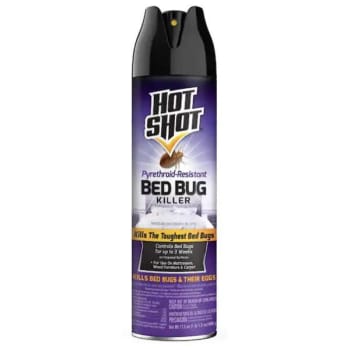 Image for Hot Shot Hot Shot 17.5 Oz. Bed Bug Killer Aerosol from HD Supply