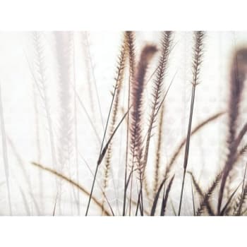 Image for Red Roof Inn® Feather Grass 36Wx24H Canvas Print w/Espresso Frame from HD Supply