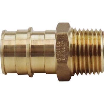 Image for Apollo 1 In. Brass PEX-A Expansion Barb X 3/4 In. Mnpt Reducing Male Adapter from HD Supply