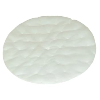 Image for Proteam Dome Filter High Filtration Discs (2-Pack) from HD Supply