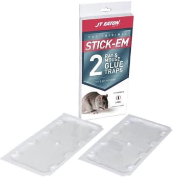 Image for JT Eaton Stick-Em Rat And Mouse Size Glue Trap from HD Supply