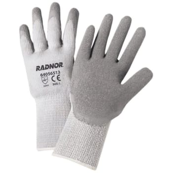 Image for Radnor Medium Gray Acrylic/Cotton/Polyester Unlined Cold Weather Gloves, 2 Pair from HD Supply