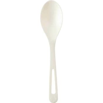 Image for World Centric 6"spoon - Compostable - 200f from HD Supply