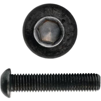 1/4-20 x 3/4 in. Internal Hex Button Socket Cap Screw (Black) (100-Pack)
