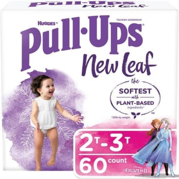 Image for Huggies Pull-Ups 2T - 3T New Leaf Girls' Potty Training Pants (60-Case) from HD Supply