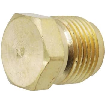 Image for Everbilt 1/2 In. Brass Hex Head Plug (10-Pack) from HD Supply