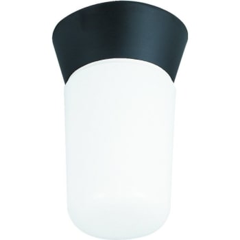 Satco® 4.25 In. 1-Light Outdoor Ceiling Light (Black)