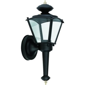 Image for Seasons® 321075 Incandescent Outdoor Wall Sconce from HD Supply