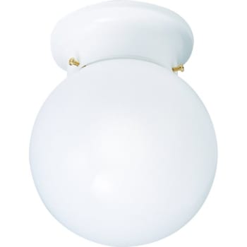6 in 1-Light Fluorescent Globe Flush-Mount Ceiling Light Fixture (White)