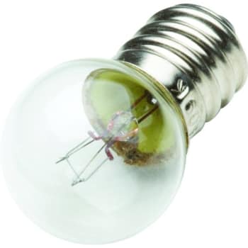 Image for 4.32w G6 Incandescent Decorative Bulb (10-Pack) from HD Supply