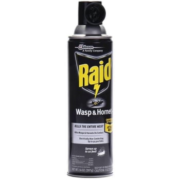 Image for Raid 14 Oz. Wasp And Hornet Killer from HD Supply