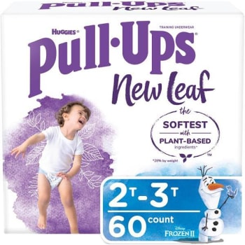 Huggies Pull-Ups 2t - 3t New Leaf Boys' Potty Training Pants (60-Case)