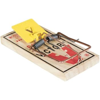 Victor Professional Expanded Trigger Rat Trap (12-Case)