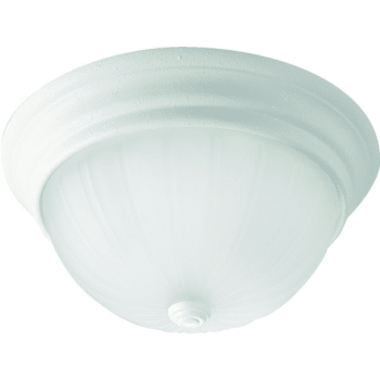 Seasons® 13 In. 2-Light Incandescent Flush Mount Light (Textured White)