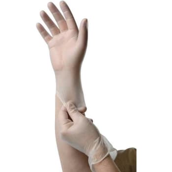 Image for Ambitex Medium Clear 4 Mil. Vinyl Powder-Free Exam Gloves (100-Pack) from HD Supply