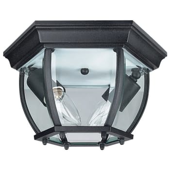 10.75 In. 2-Light Outdoor Ceiling Light (Black Cast Aluminum)