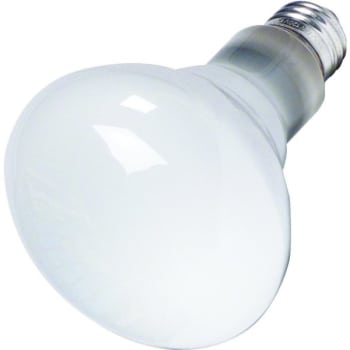 65W 80° BR30 Incandescent Reflector Bulb (24-Pack)