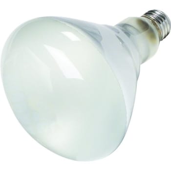 Image for Philips® Reflector Bulb 250W Heat Clear Coated from HD Supply