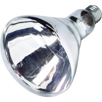 Reflector Bulb 125W Heat Clear