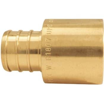 Image for Apollo 3/4 In. Brass PEX-B Barb X 3/4 In. Female Copper Sweat Adapter from HD Supply