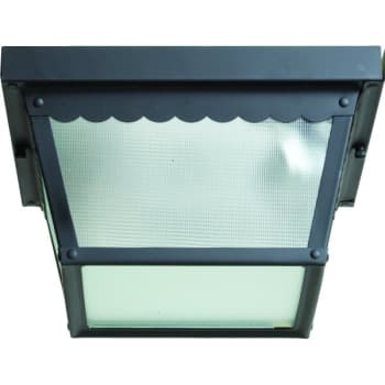Satco® 9.25 In. 2-Light Outdoor Ceiling Light (Black)