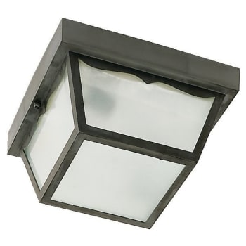 Image for Satco® Nuvo Black Two-Light 10 Carport Flush Mount With Frosted Acrylic Panels from HD Supply