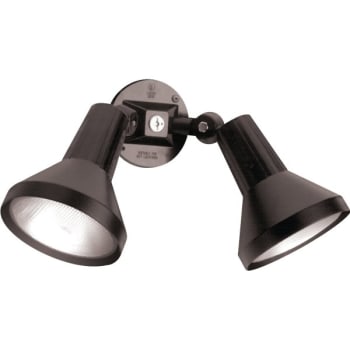 Satco® Nuvo Black Two-Light 15 Exterior Par38 Flood Light With Adjustable Swivel