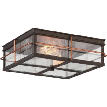 Image for Satco® Nuvo Howell 11 In. 2-Light Outdoor Ceiling Light (Bronze) from HD Supply