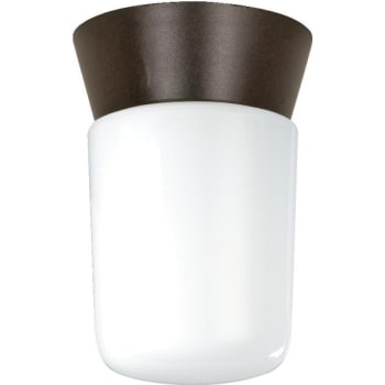 Image for Satco® Nuvo SF77/156 4.25 in. 1-Light Outdoor Ceiling Light from HD Supply