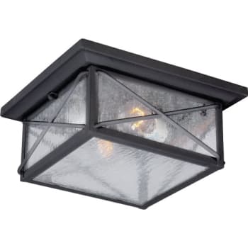 Image for Satco® Nuvo Wingate 11.25 In. 2-Light Outdoor Flush Light (Black) from HD Supply