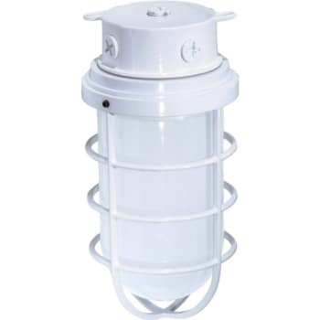 Satco® Nuvo White One-Light 11 Industrial Surface Mount Fixture, Frosted Glass