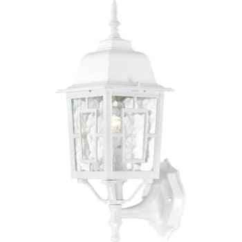 Image for Satco® 60/3487 Banyan 17 In. Incandescent Outdoor Wall Sconce from HD Supply