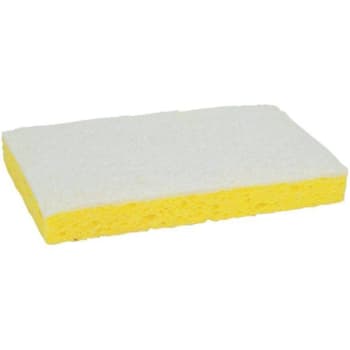 Image for 3M 6.1 In. X 3.6 In. Light-Duty Scrub Sponge (20-Case) from HD Supply