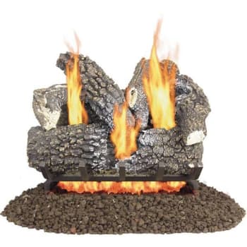 Image for Pleasant Hearth Arlington Ash 18 In. Vented Gas Log Set from HD Supply