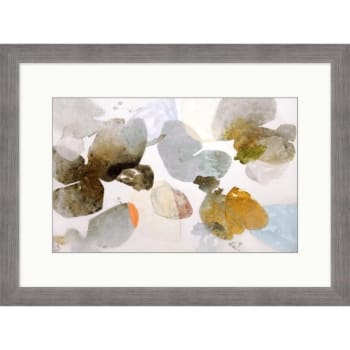 Image for Clearwater Art Collection Sea Lichens, Warm Scheme, Silver Frame from HD Supply