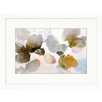 Image for Clearwater Art Collection Sea Lichens, Warm Scheme, White Frame from HD Supply