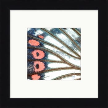 Image for Clearwater Art Collection Flamingo, Cool Scheme, Black Frame from HD Supply