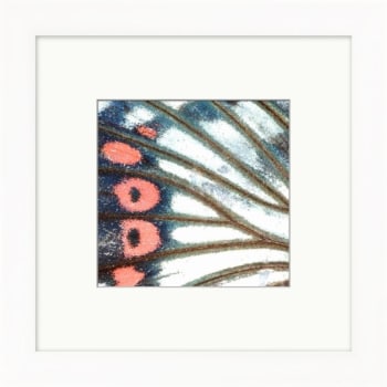 Image for Clearwater Art Collection Flamingo, Cool Scheme, White Frame from HD Supply