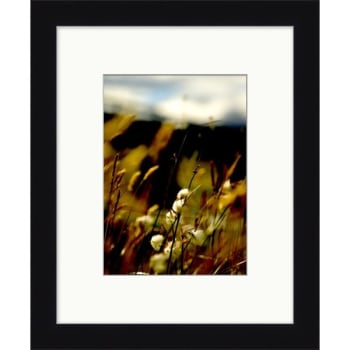 Image for Clearwater Art Collection Spring Flowers, Warm Scheme, Black Frame from HD Supply