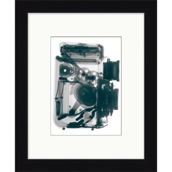 Image for Clearwater Art Collection Xray, Trendy Scheme, Black Frame from HD Supply