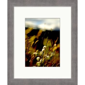 Image for Clearwater Art Collection Spring Flowers, Warm Scheme, Silver Frame from HD Supply