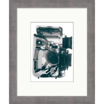 Image for Clearwater Art Collection Xray, Trendy Scheme, Silver Frame from HD Supply