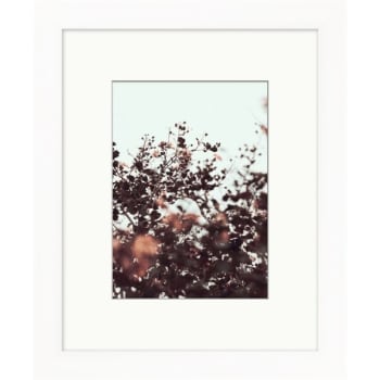 Image for Clearwater Art Collection Fall Flowers, Cool Scheme, White Frame from HD Supply